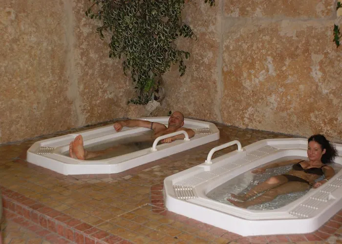 Parkhotel Altmuehltal מלון